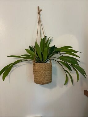 Hearth & Hand with Magnolia Woven Hanging Planter with Lush Green Foliage